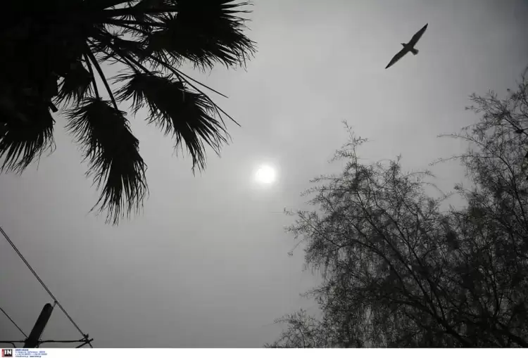 Ο καιρός στην Κοζάνη και την δυτική Μακεδονία σήμερα, Δευτέρα 1/4: Πρωταπριλιά με ζέστη και σκόνη