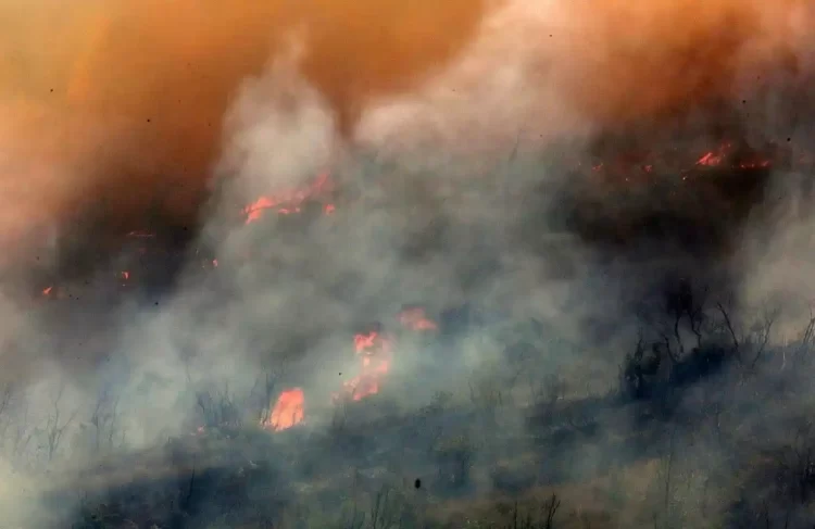 Καμπανάκι Πυρομετεωρολόγου: Μεγάλη Ανησυχία Για Τις Δασικές Πυρκαγιές – Το Τρίπτυχο Της Διαχείρισης 