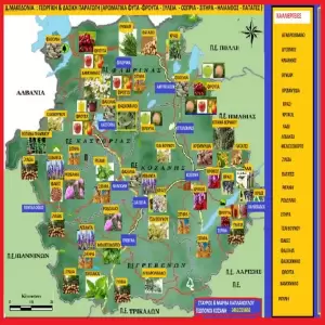 Τα Πρωτογενή προϊόντα της χώρας μας με τις ελλείψεις λόγω επίκαιρων ή μελλοντικών πλημμυρών ή πυρκαγιών είναι επαρκή; Τα Πρωτογενή προϊόντα της χώρας μας με τις ελλείψεις λόγω επίκαιρων ή μελλοντικών πλημμυρών ή πυρκαγιών είναι επαρκή;