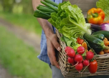 Υπάρχουν Υπολείμματα Φυτοφαρμάκων Στα Τρόφιμα;  – Tι Έδειξαν Τα Στοιχεία Σε 12 Προϊόντα Που Ελέγχθηκαν