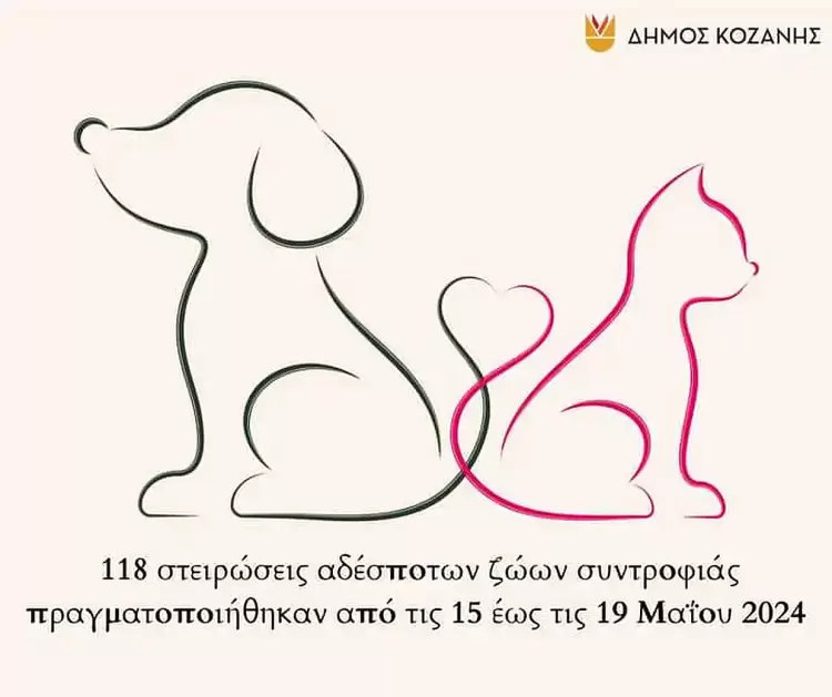Δήμος Κοζάνης: 118 στειρώσεις αδέσποτων ζώων συντροφιάς πραγματοποιήθηκαν από τις 15 έως τις 19 Μαΐου