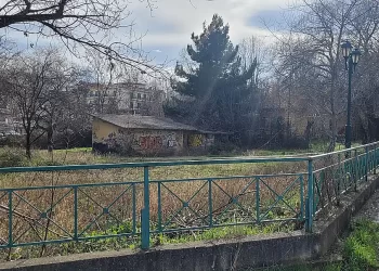 Δήμος Κοζάνης: Καθαρισμός Της Βλάστησης Στην Περιοχή Του Οσε