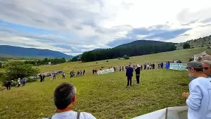 Η Δημοτική Κίνηση στηρίζει τον αγώνα των κατοίκων της Καλαμιάς Η Δημοτική Κίνηση στηρίζει τον αγώνα των κατοίκων της Καλαμιάς