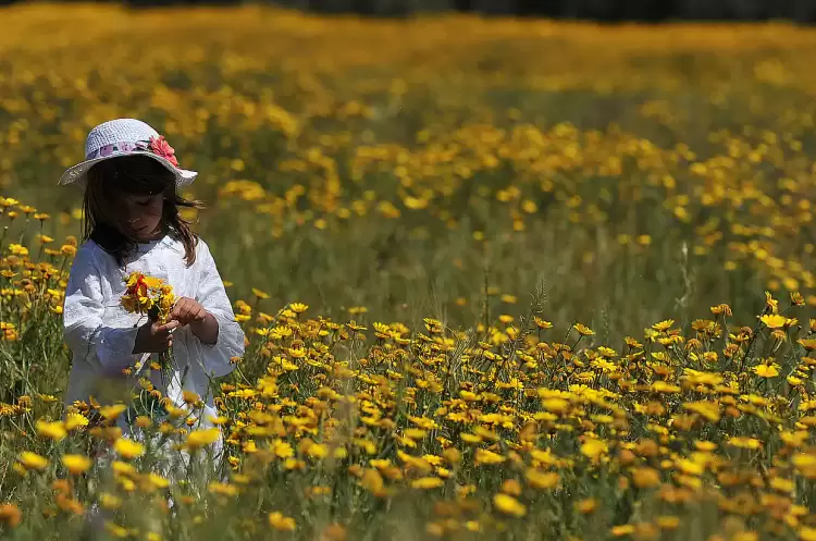 Καιρός: Πάσχα με συννεφιά, βροχές και καταιγίδες – Αναλυτικά η πρόγνωση για τις επόμενες ημέρες Καιρός: Πάσχα με συννεφιά, βροχές και καταιγίδες – Αναλυτικά η πρόγνωση για τις επόμενες ημέρες
