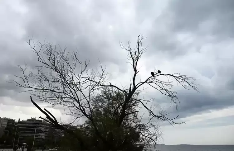 Ο καιρός σήμερα, Δευτέρα 20/5: Συννεφιά με πιθανές βροχές απο το μεσημέρι