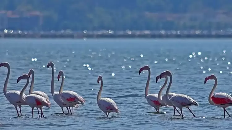 Κλιματική Αλλαγή: Περισσότεροι από το 1/3 των υγρότοπων της Μεσογείου απειλούνται από την άνοδο της στάθμης των υδάτων