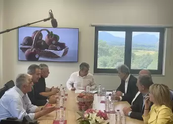 ΝΕ ΤΟΥ ΣΥΡΙΖΑ-ΠΣ Κοζάνης: Ένα κομματικό κράτος χτίζεται παντού! ΝΕ ΤΟΥ ΣΥΡΙΖΑ ΠΣ Κοζάνης: Ένα κομματικό κράτος χτίζεται παντού!