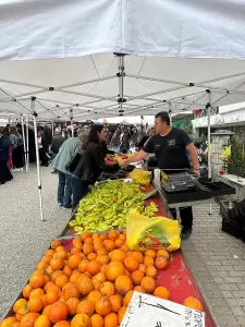 Όλγα Μαρκογιαννάκη: «Στόχος μας να εξασφαλίσουμε από την Ευρώπη ότι δικαιούται το Βόιο » Όλγα Μαρκογιαννάκη: «Στόχος μας να εξασφαλίσουμε από την Ευρώπη ότι δικαιούται το Βόιο »