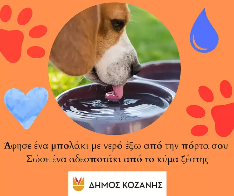 «Άφησε ένα μπολάκι με νερό έξω από την πόρτα σου»