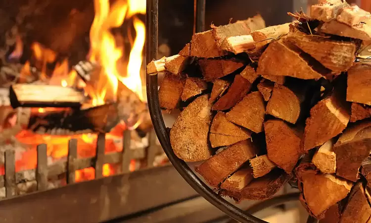 Δωρεάν καυσόξυλα σε κατοίκους του Λιβαδερού και της Καστανιάς