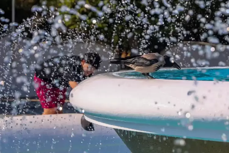 Καιρός: Έρχεται καύσωνας με 44άρια - Με τι καιρό θα ψηφίσουμε στις Ευρωεκλογές Καιρός: Έρχεται καύσωνας με 44άρια – Με τι καιρό θα ψηφίσουμε στις Ευρωεκλογές