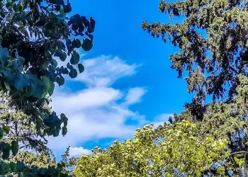 Ο καιρός σήμερα, Κυριακή 2/6: Γενικά αίθριος και παροδικά αραιές νεφώσεις