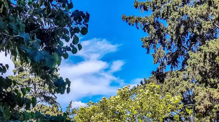 Ο καιρός σήμερα, Κυριακή 2/6: Γενικά αίθριος και παροδικά αραιές νεφώσεις