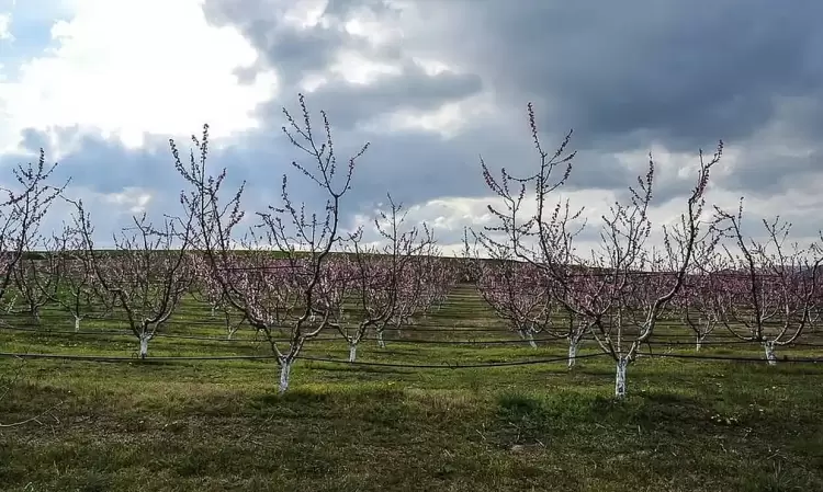 Ο καιρός σήμερα, Παρασκευή 21/6: Γενικά αίθριος με συννεφιά και ζέστη Ο καιρός σήμερα, Παρασκευή 21/6: Γενικά αίθριος με συννεφιά και ζέστη