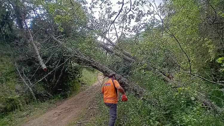 Σε εξέλιξη οι εργασίες συντήρησης και βελτίωσης βατότητας του δημοτικού δασικού οδικού δικτύου του Δήμου Φλώρινας
