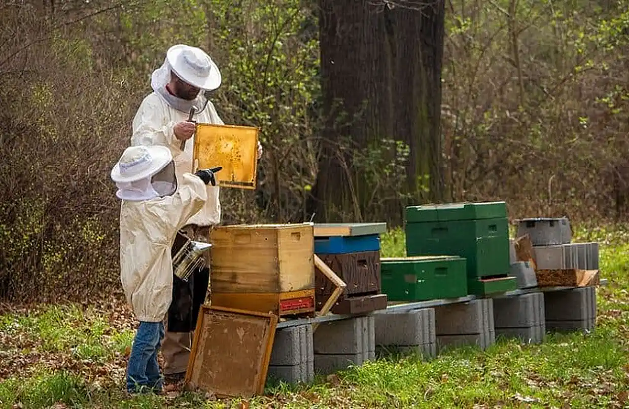 Σεμινάριο Στα Πλαίσια Της Δράσης  “Εκπαίδευση – Κατάρτιση Μελισσοκόμων”