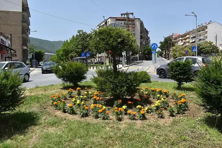 Συνεχίζονται οι ανθοφυτεύσεις σε κοινόχρηστους χώρους του Δήμου Φλώρινας