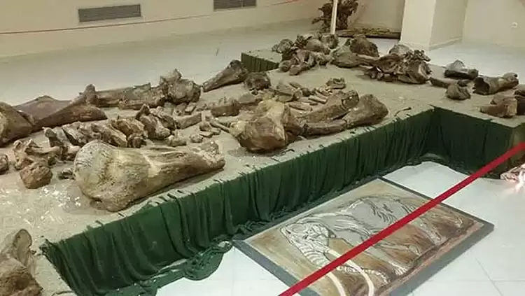 Θα απαντήσει επιτέλους η Δημοτική Αρχή για το κλείσιμο του Παλαιοντολογικού Μουσείου Πτολεμαΐδας και την ασφάλεια του;