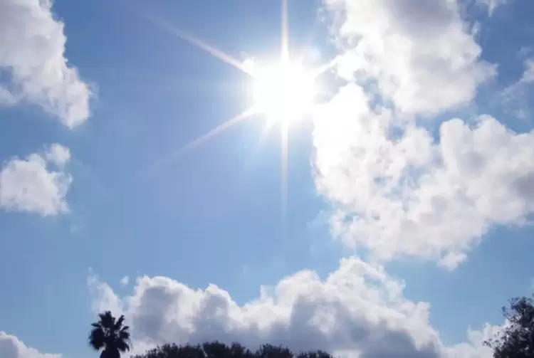 Αυτόματο προσχέδιο