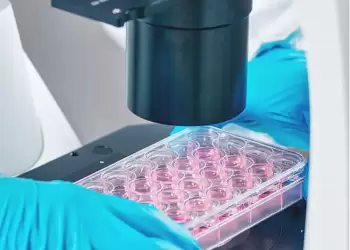 Αυτόματο προσχέδιο