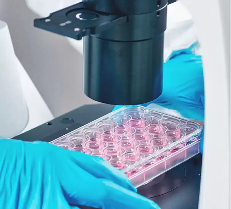 Εκτροχιάζονται οι δαπάνες για φάρμακα ξεπερνούν απο 44-74% οι ανάγκες στα νοσοκομεία, ΕΟΠΥΥ και φαρμακεία Αυτόματο προσχέδιο