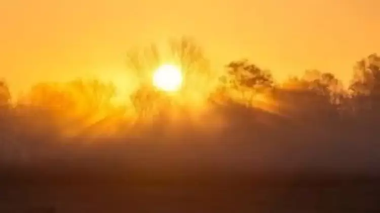 Αυτόματο προσχέδιο