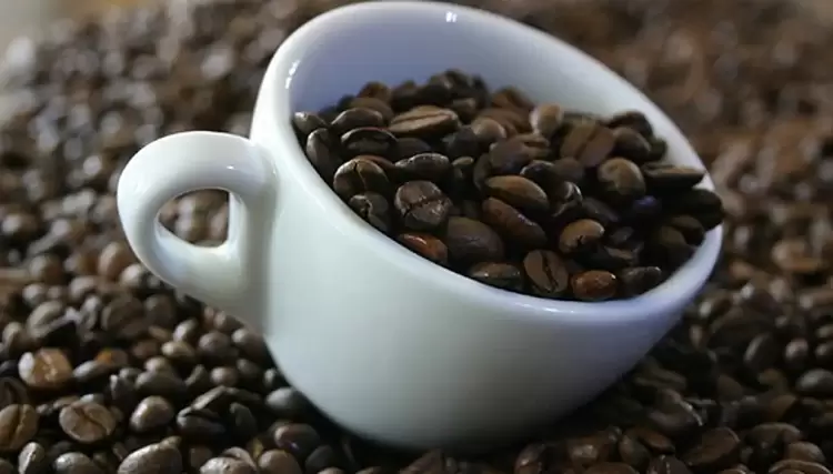 Αυτόματο προσχέδιο