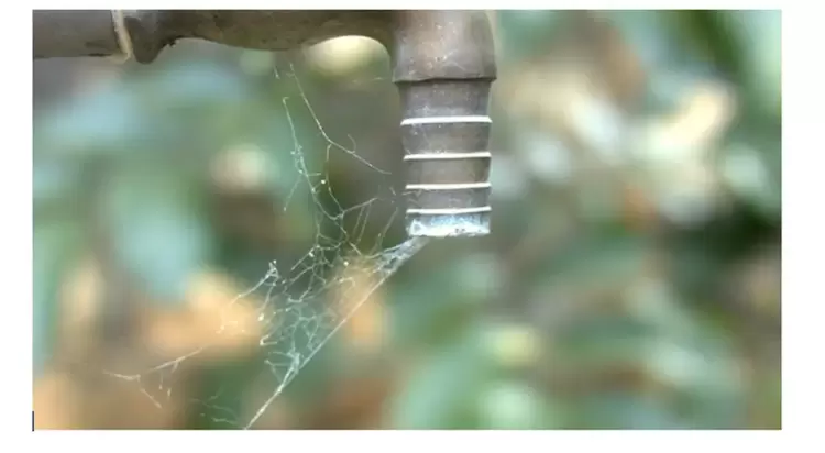 Αυτόματο προσχέδιο