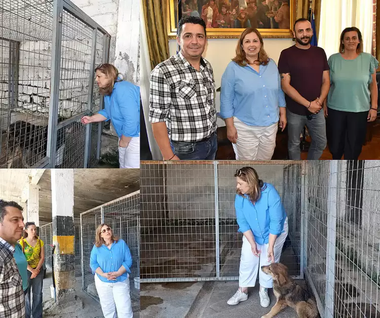 Διαχείριση Αδέσποτων Ζώων Συντροφιάς: «Ο Δήμος Κοζάνης είναι ένας Δήμος που προσπαθεί και οι προσπάθειες αποδίδουν»