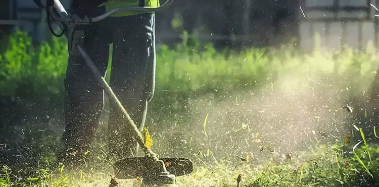 Δήμος Εορδαίας: Νέα Παράταση της προθεσμίας για την υποβολή δήλωσης των υπόχρεων για τον καθαρισμό των οικοπέδων