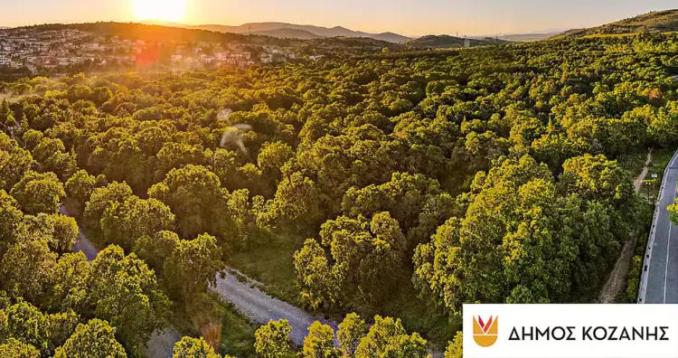 Δήμος Κοζάνης: Απαγόρευση κυκλοφορίας τη Δευτέρα 22 Ιουλίου στο Άλσος Κουρί και στην περιοχή του Προφήτη Ηλία (Ψηλό Αηλιά)