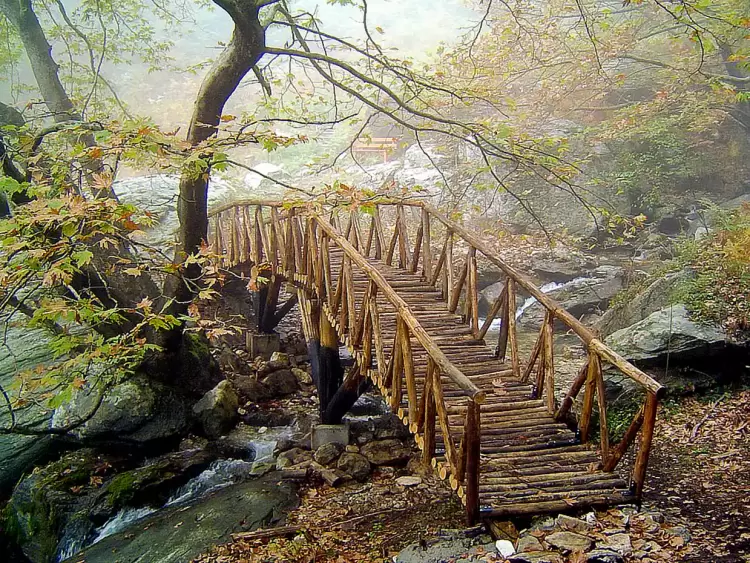 Ο Ε.Ο.Σ. Κοζάνης διοργανώνει την Κυριακή 14.7.2024 ορειβατική εξόρμηση στο Παγγαίο