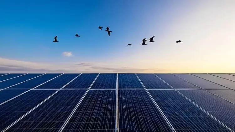 Η Ελλάδα στη 2η θέση του δείκτη Ανανεώσιμων Πηγών Ενέργειας Η Ελλάδα στη 2η θέση του δείκτη Ανανεώσιμων Πηγών Ενέργειας