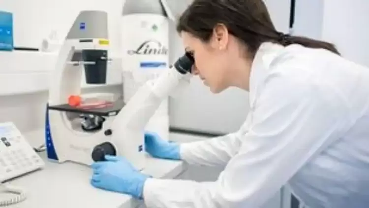 Έρευνα ανοίγει το δρόμο για ανάπτυξη εμβολίων για τον καρκίνο του ήπατος Έρευνα ανοίγει το δρόμο για ανάπτυξη εμβολίων για τον καρκίνο του ήπατος