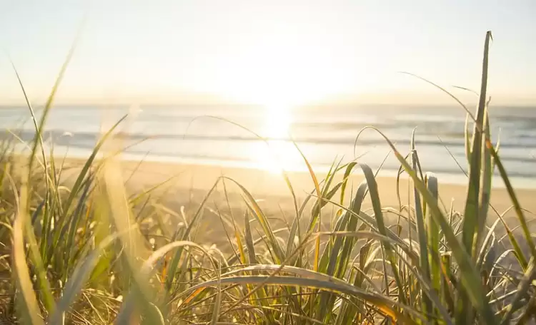 Ο καιρός σήμερα, Τετάρτη 10/7: Ηλιοφάνεια, ζέστη και μελτέμι Ο καιρός σήμερα, Τετάρτη 10/7: Ηλιοφάνεια, ζέστη και μελτέμι