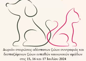 Δήμος Κοζάνης: Δωρεάν στειρώσεις αδέσποτων ζώων συντροφιάς και δεσποζόμενων ζώων ευπαθών κοινωνικών ομάδων Δήμος Κοζάνης: Δωρεάν στειρώσεις αδέσποτων ζώων συντροφιάς και δεσποζόμενων ζώων ευπαθών κοινωνικών ομάδων