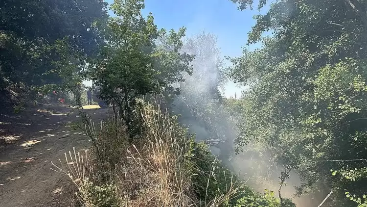 Φλώρινα: Κατάσβεση φωτιάς στην Κοινότητα Σκοπιάς Κατάσβεση φωτιάς στην Κοινότητα Σκοπιάς