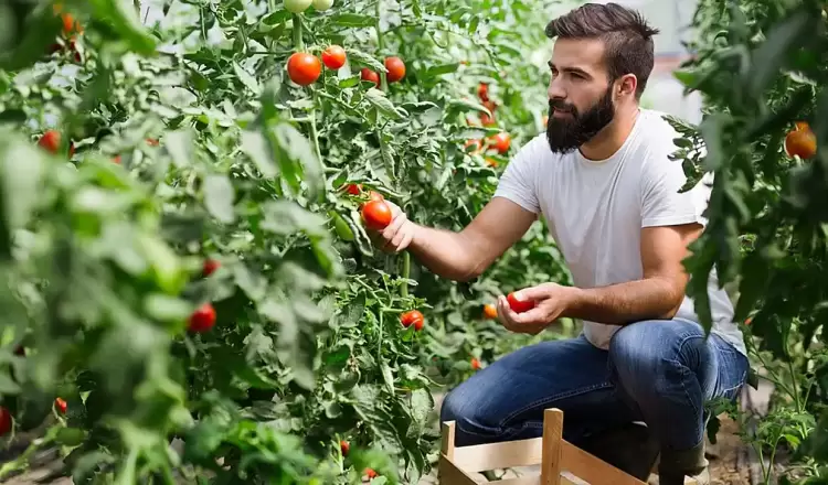 Νέα ΚΑΠ: Οι δικαιούχοι  και το ποσό στήριξης – Τι ισχύει για τη σύσταση ομάδων παραγωγών