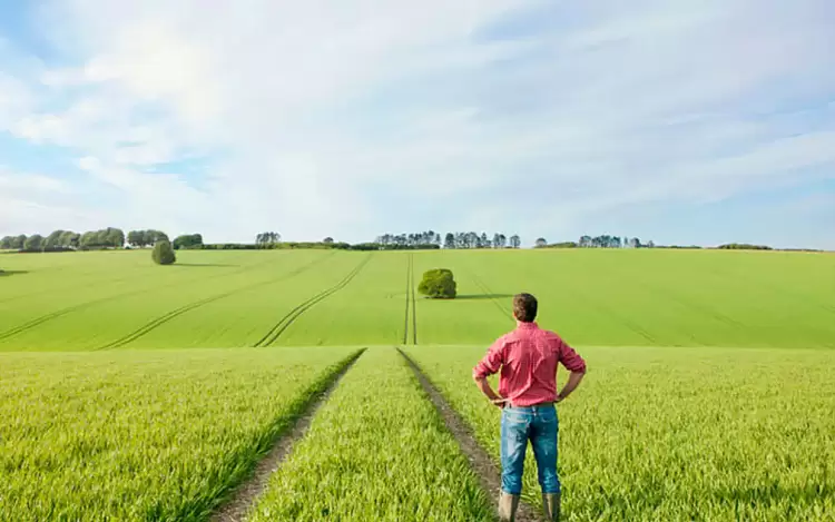 Νέους αγρότες: Οι προϋποθέσεις και δεσμεύσεις για το πρόγραμμα – Έως και 40.000 € σε κάθε δικαιούχο