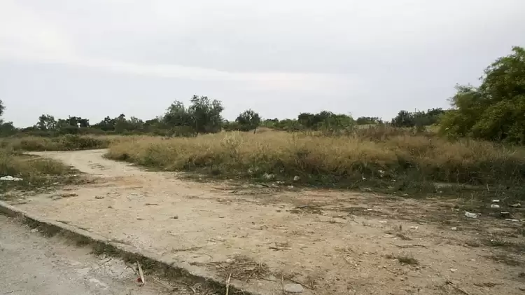 Σχεδόν 575.000 δηλώσεις καθαρισμού οικοπέδων έχουν κατατεθεί