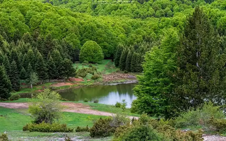 Ο Σύλλογος Ελλήνων Ορειβατών Σ.Ε.Ο. Κοζάνης διοργανώνει εξόρμηση στον Κάτω Όλυμπο(υψ.1420μ.) Ο Σύλλογος Ελλήνων Ορειβατών (Σ.Ε.Ο.) Κοζάνης διοργανώνει εξόρμηση στον Κάτω Όλυμπο(υψ.1420μ.)