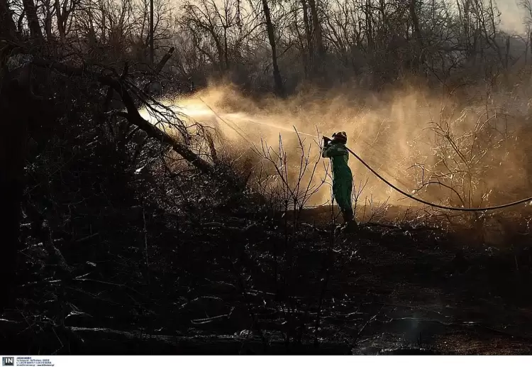 Κοζάνη: Φωτιά ανάμεσα στη Βλάστη και το Σισάνι: Υπό έλεγχο η φωτιά σε δασική περιοχή στη Βλάστη
