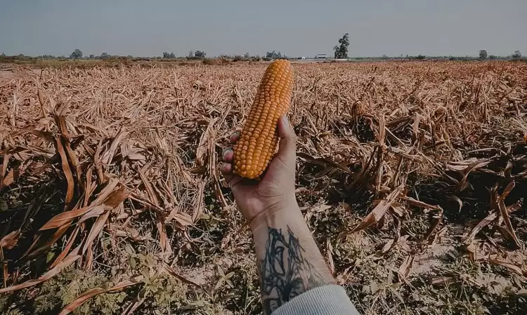 Από τους «πολέμους για το πετρέλαιο» στους «πολέμους για τα τρόφιμα»;