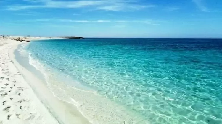 Αυτόματο προσχέδιο