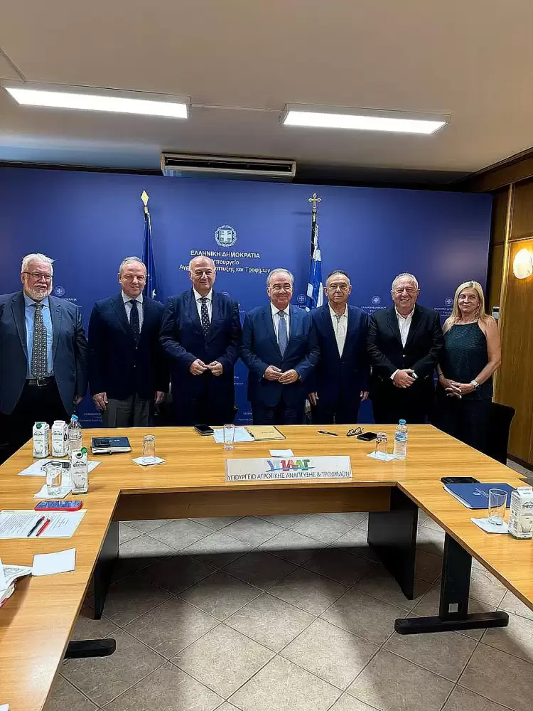 Αυτόματο προσχέδιο