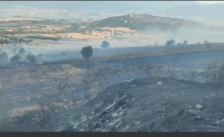 Αυτόματο προσχέδιο