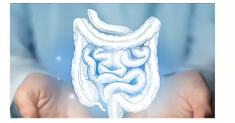 Αυτόματο προσχέδιο