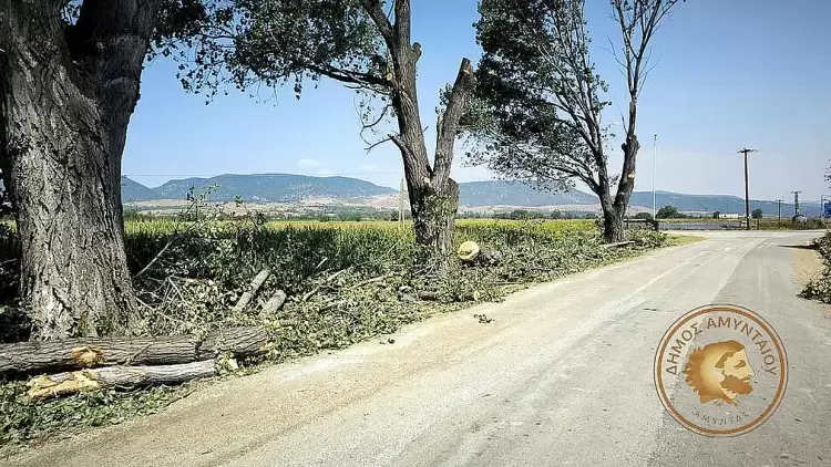 Εργασίες καθαρισμού από την παρακείμενη βλάστηση στον Ροδώνα και δεντροφύτευση και εγκατάσταση υπόγειου ποτίσματος στον Φανό