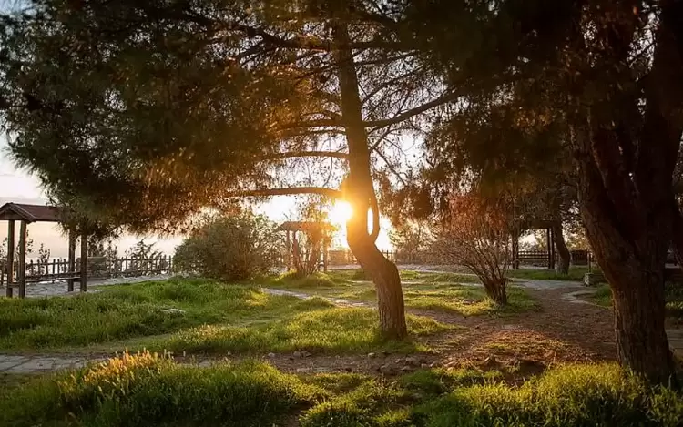 Ο καιρός σήμερα, Πέμπτη 22/8: Γενικά αίθριος με βοριάδες και άνοδος θερμοκρασίας