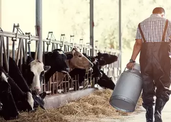 Τα νέα μέτρα για την αντιμετώπιση της πανώλης των μικρών μηρυκαστικών Τα νέα μέτρα για την αντιμετώπιση της πανώλης των μικρών μηρυκαστικών